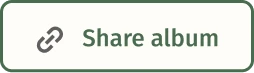 Share control showing a copyable collection link